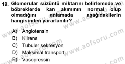 Temel Veteriner Fizyoloji Dersi 2019 - 2020 Yılı (Vize) Ara Sınav Soruları 19. Soru