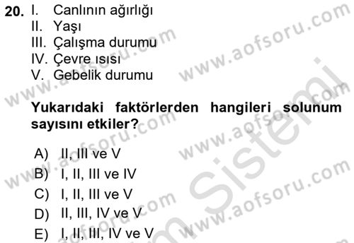 Temel Veteriner Fizyoloji Dersi 2019 - 2020 Yılı (Vize) Ara Sınav Soruları 20. Soru
