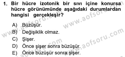 Temel Veteriner Fizyoloji Dersi 2019 - 2020 Yılı (Final) Dönem Sonu Sınav Soruları 1. Soru