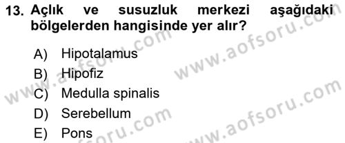 Temel Veteriner Fizyoloji Dersi 2019 - 2020 Yılı (Final) Dönem Sonu Sınav Soruları 13. Soru