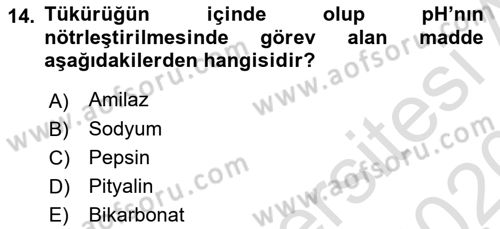 Temel Veteriner Fizyoloji Dersi 2019 - 2020 Yılı (Final) Dönem Sonu Sınavı 14. Soru