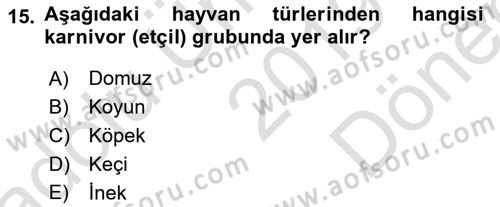 Temel Veteriner Fizyoloji Dersi 2019 - 2020 Yılı (Final) Dönem Sonu Sınav Soruları 15. Soru