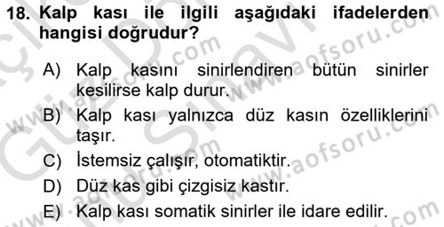 Temel Veteriner Fizyoloji Dersi 2019 - 2020 Yılı (Final) Dönem Sonu Sınav Soruları 18. Soru