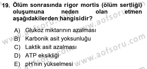 Temel Veteriner Fizyoloji Dersi 2019 - 2020 Yılı (Final) Dönem Sonu Sınavı 19. Soru