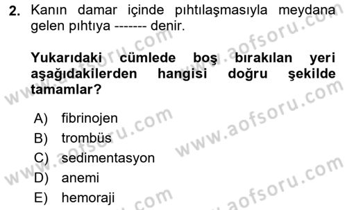 Temel Veteriner Fizyoloji Dersi 2019 - 2020 Yılı (Final) Dönem Sonu Sınav Soruları 2. Soru