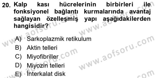 Temel Veteriner Fizyoloji Dersi 2019 - 2020 Yılı (Final) Dönem Sonu Sınavı 20. Soru