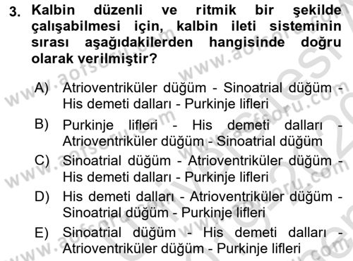 Temel Veteriner Fizyoloji Dersi 2019 - 2020 Yılı (Final) Dönem Sonu Sınav Soruları 3. Soru