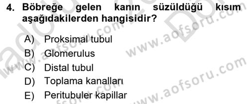 Temel Veteriner Fizyoloji Dersi 2019 - 2020 Yılı (Final) Dönem Sonu Sınav Soruları 4. Soru