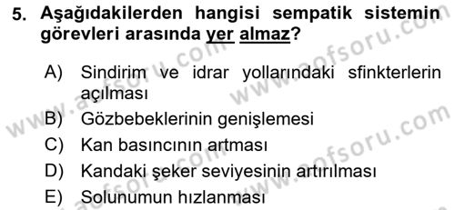 Temel Veteriner Fizyoloji Dersi 2019 - 2020 Yılı (Final) Dönem Sonu Sınav Soruları 5. Soru