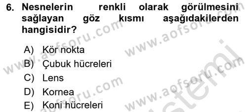 Temel Veteriner Fizyoloji Dersi 2019 - 2020 Yılı (Final) Dönem Sonu Sınav Soruları 6. Soru