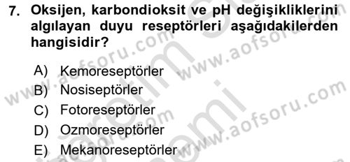 Temel Veteriner Fizyoloji Dersi 2019 - 2020 Yılı (Final) Dönem Sonu Sınavı 7. Soru