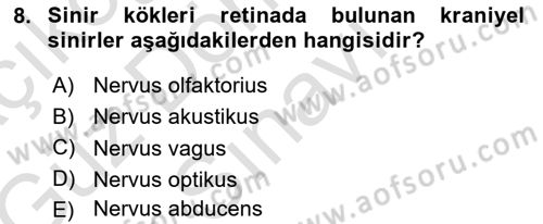 Temel Veteriner Fizyoloji Dersi 2019 - 2020 Yılı (Final) Dönem Sonu Sınav Soruları 8. Soru