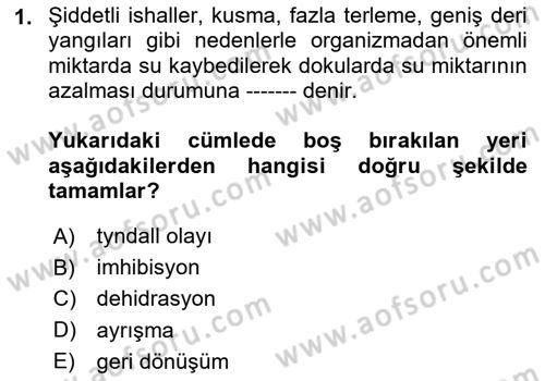 Temel Veteriner Fizyoloji Dersi 2020 - 2021 Yılı Yaz Okulu Sınav Soruları 1. Soru