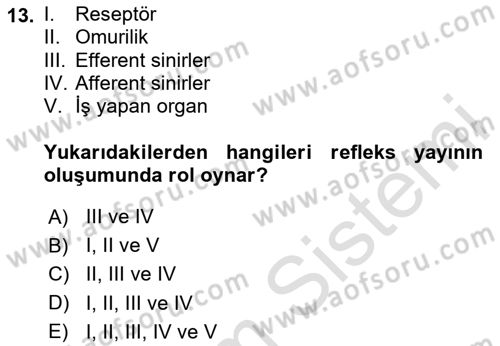 Temel Veteriner Fizyoloji Dersi 2020 - 2021 Yılı Yaz Okulu Sınav Soruları 13. Soru
