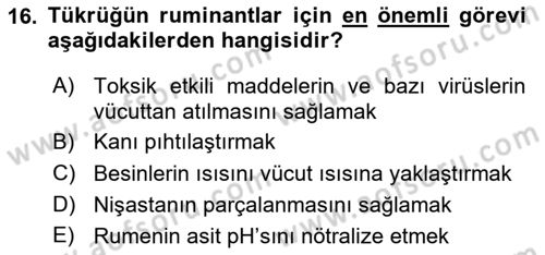Temel Veteriner Fizyoloji Dersi 2020 - 2021 Yılı Yaz Okulu Sınav Soruları 16. Soru