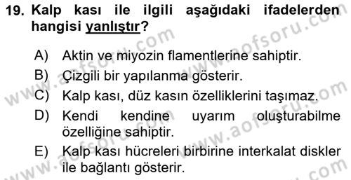 Temel Veteriner Fizyoloji Dersi 2020 - 2021 Yılı Yaz Okulu Sınav Soruları 19. Soru