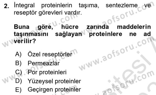 Temel Veteriner Fizyoloji Dersi 2020 - 2021 Yılı Yaz Okulu Sınav Soruları 2. Soru
