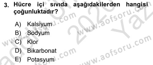 Temel Veteriner Fizyoloji Dersi 2020 - 2021 Yılı Yaz Okulu Sınav Soruları 3. Soru