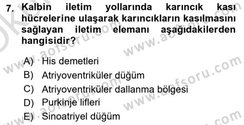 Temel Veteriner Fizyoloji Dersi 2020 - 2021 Yılı Yaz Okulu Sınav Soruları 7. Soru