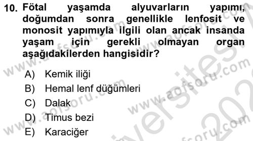 Temel Veteriner Fizyoloji Dersi 2021 - 2022 Yılı (Vize) Ara Sınav Soruları 10. Soru