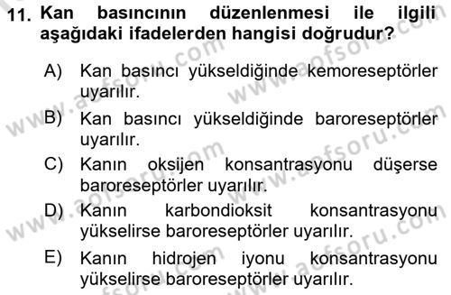 Temel Veteriner Fizyoloji Dersi 2021 - 2022 Yılı (Vize) Ara Sınavı 11. Soru