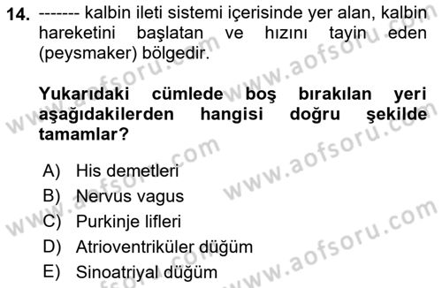 Temel Veteriner Fizyoloji Dersi 2021 - 2022 Yılı (Vize) Ara Sınav Soruları 14. Soru