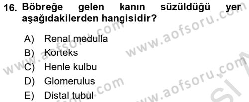 Temel Veteriner Fizyoloji Dersi 2021 - 2022 Yılı (Vize) Ara Sınavı 16. Soru