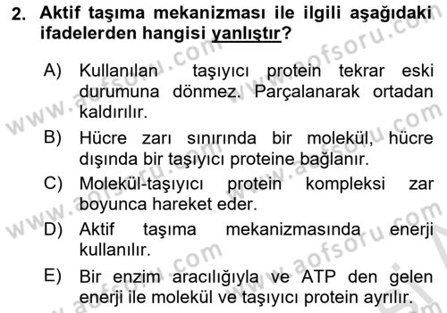 Temel Veteriner Fizyoloji Dersi 2021 - 2022 Yılı (Vize) Ara Sınavı 2. Soru