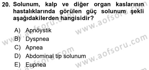 Temel Veteriner Fizyoloji Dersi 2021 - 2022 Yılı (Vize) Ara Sınav Soruları 20. Soru