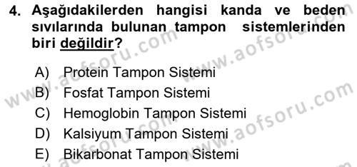 Temel Veteriner Fizyoloji Dersi 2021 - 2022 Yılı (Vize) Ara Sınavı 4. Soru