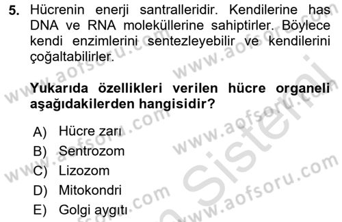 Temel Veteriner Fizyoloji Dersi 2021 - 2022 Yılı (Vize) Ara Sınav Soruları 5. Soru