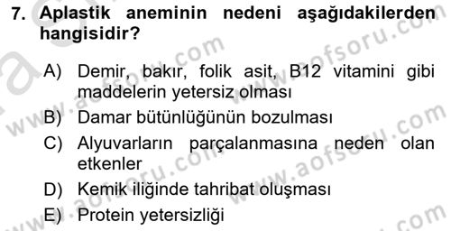 Temel Veteriner Fizyoloji Dersi 2021 - 2022 Yılı (Vize) Ara Sınav Soruları 7. Soru