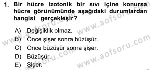 Temel Veteriner Fizyoloji Dersi 2021 - 2022 Yılı (Final) Dönem Sonu Sınavı 1. Soru