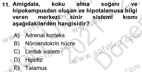 Temel Veteriner Fizyoloji Dersi 2021 - 2022 Yılı (Final) Dönem Sonu Sınavı 11. Soru