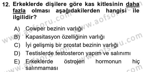 Temel Veteriner Fizyoloji Dersi 2021 - 2022 Yılı (Final) Dönem Sonu Sınav Soruları 12. Soru