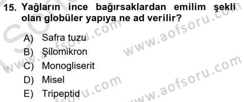 Temel Veteriner Fizyoloji Dersi 2021 - 2022 Yılı (Final) Dönem Sonu Sınav Soruları 15. Soru