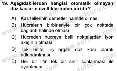 Temel Veteriner Fizyoloji Dersi 2021 - 2022 Yılı (Final) Dönem Sonu Sınavı 19. Soru