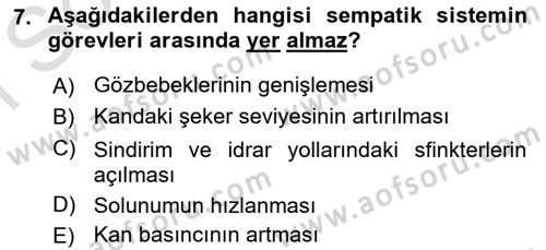 Temel Veteriner Fizyoloji Dersi 2021 - 2022 Yılı (Final) Dönem Sonu Sınavı 7. Soru