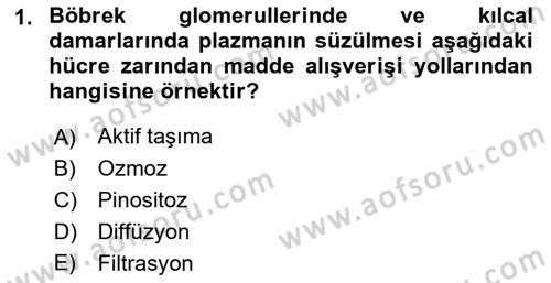 Temel Veteriner Fizyoloji Dersi 2021 - 2022 Yılı Yaz Okulu Sınavı 1. Soru