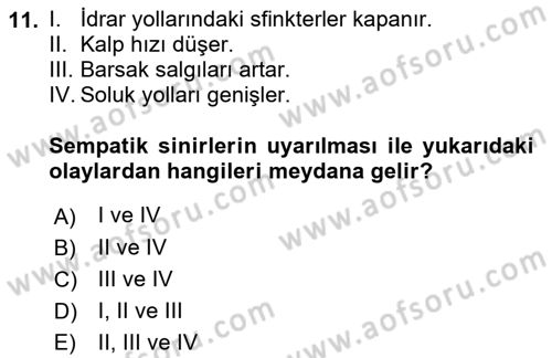 Temel Veteriner Fizyoloji Dersi 2021 - 2022 Yılı Yaz Okulu Sınavı 11. Soru