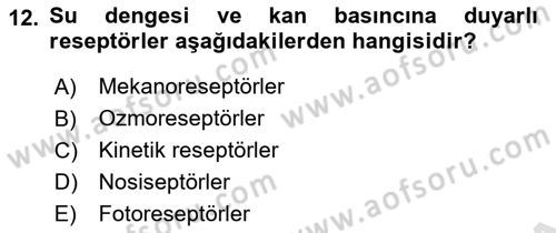 Temel Veteriner Fizyoloji Dersi 2021 - 2022 Yılı Yaz Okulu Sınavı 12. Soru