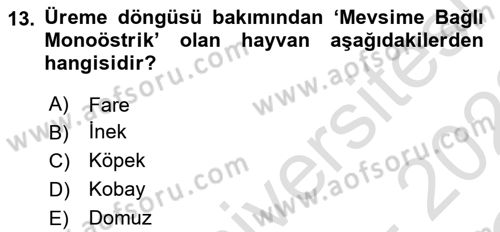 Temel Veteriner Fizyoloji Dersi 2021 - 2022 Yılı Yaz Okulu Sınavı 13. Soru