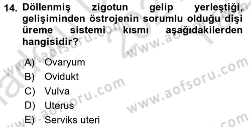 Temel Veteriner Fizyoloji Dersi 2021 - 2022 Yılı Yaz Okulu Sınavı 14. Soru