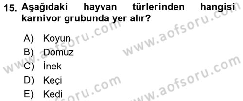 Temel Veteriner Fizyoloji Dersi 2021 - 2022 Yılı Yaz Okulu Sınavı 15. Soru