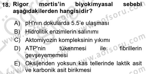 Temel Veteriner Fizyoloji Dersi 2021 - 2022 Yılı Yaz Okulu Sınavı 18. Soru