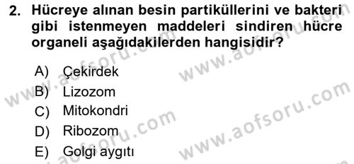 Temel Veteriner Fizyoloji Dersi 2021 - 2022 Yılı Yaz Okulu Sınavı 2. Soru