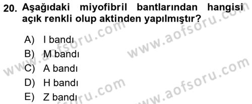 Temel Veteriner Fizyoloji Dersi 2021 - 2022 Yılı Yaz Okulu Sınavı 20. Soru