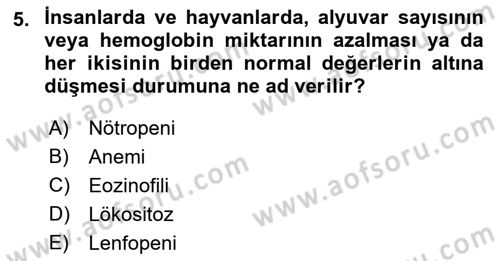 Temel Veteriner Fizyoloji Dersi 2021 - 2022 Yılı Yaz Okulu Sınavı 5. Soru