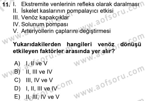 Temel Veteriner Fizyoloji Dersi 2022 - 2023 Yılı (Vize) Ara Sınav Soruları 11. Soru