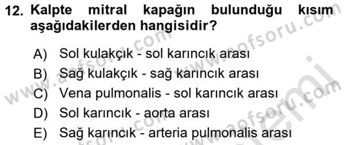 Temel Veteriner Fizyoloji Dersi 2022 - 2023 Yılı (Vize) Ara Sınav Soruları 12. Soru